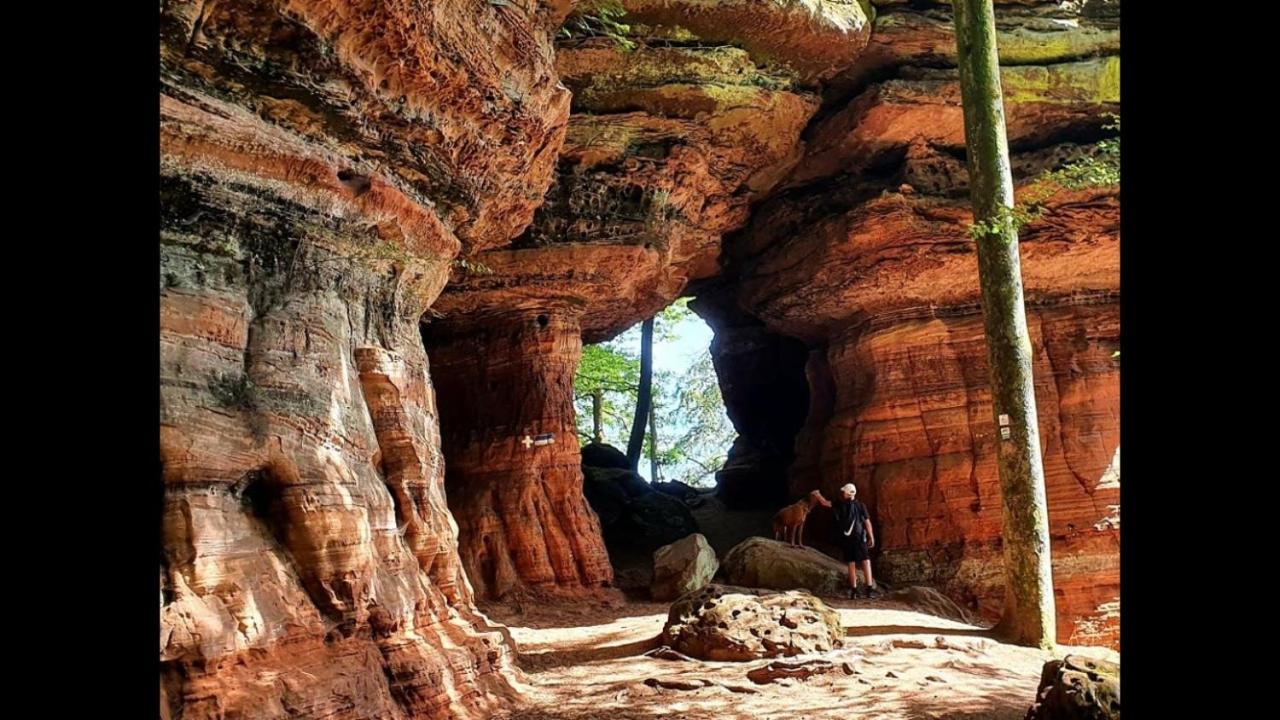 La Petite Halte Villa Lemberg Екстериор снимка