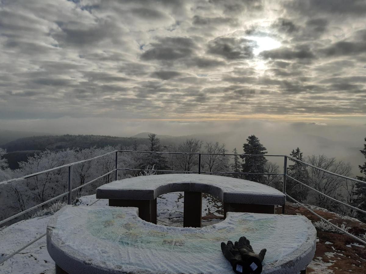 La Petite Halte Villa Lemberg Екстериор снимка